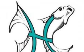 Факты о знаке зодиака Рыбы: общая характеристика, совместимость, гороскоп